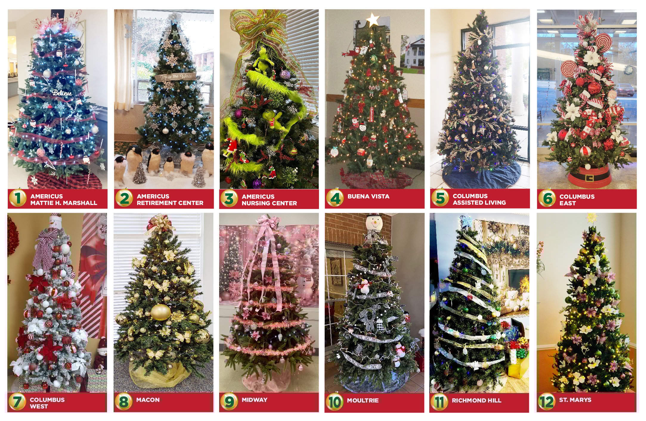 02494 2025 Christmas Tree Contest