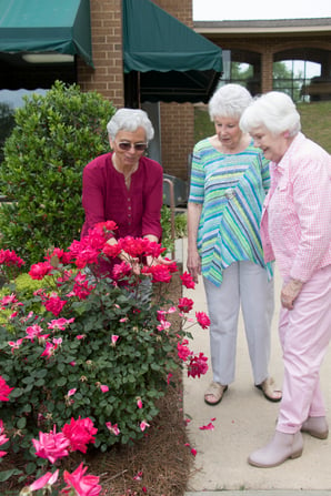 senior living magnolia manor georgia