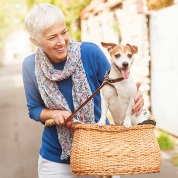 senior pet therapy