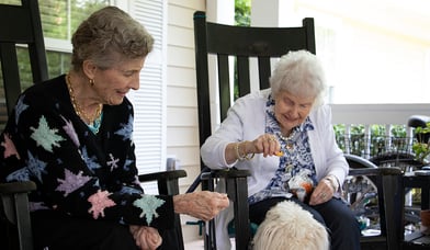 senior living pet therapy