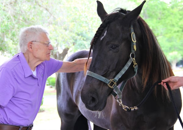 seniors and horses