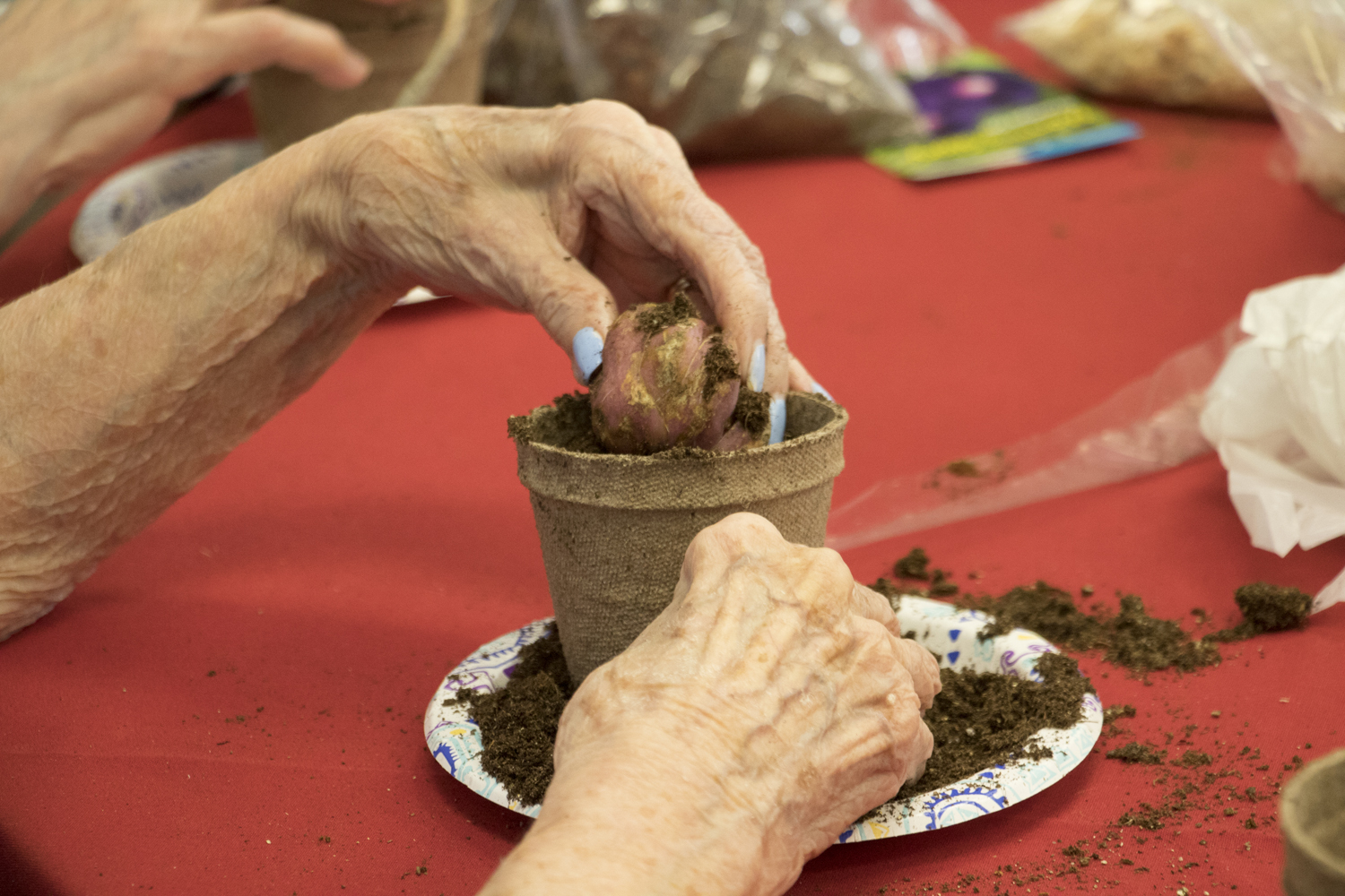 Spring Gardening in Macon