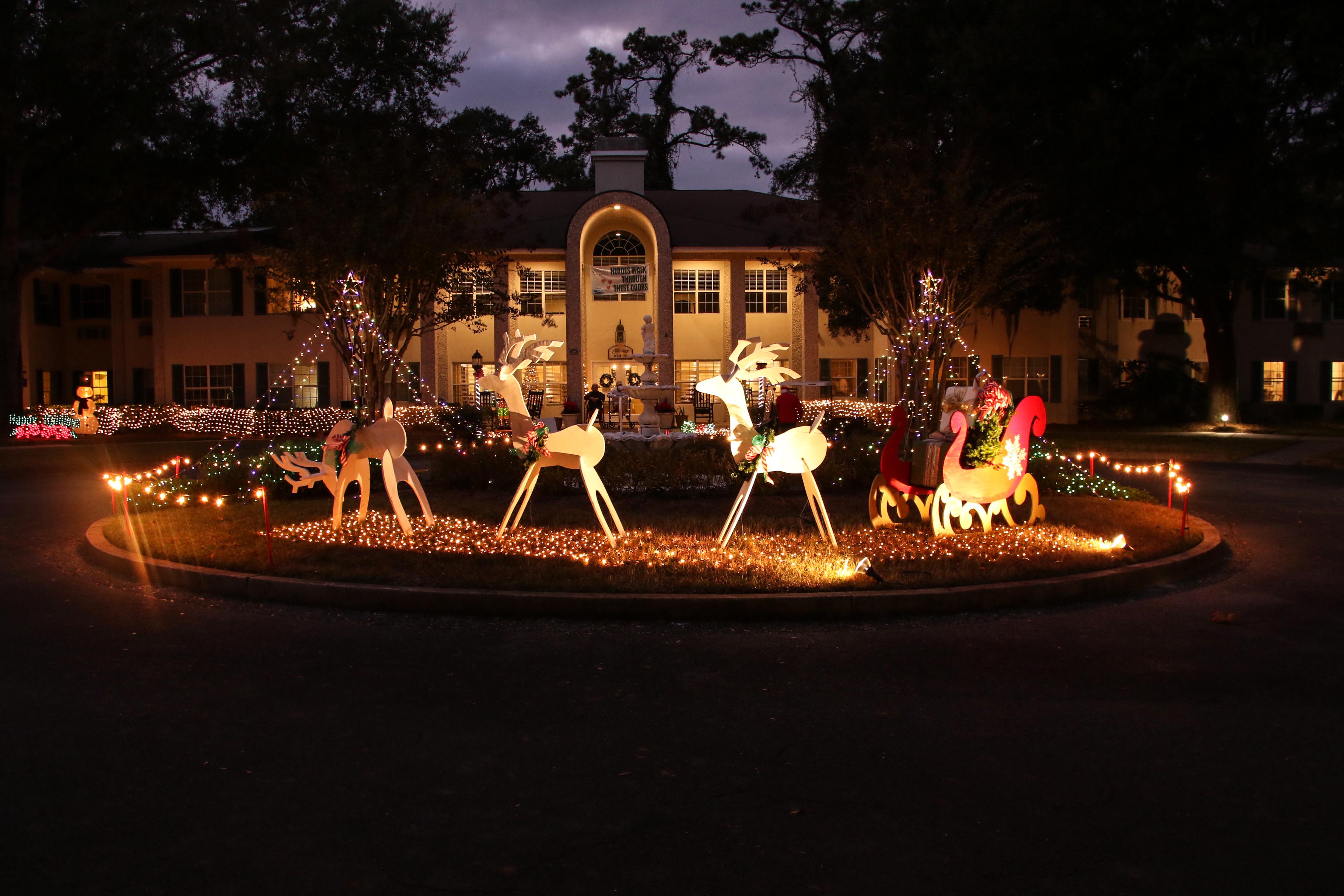 2020 St. Simons Light the Night (7703)