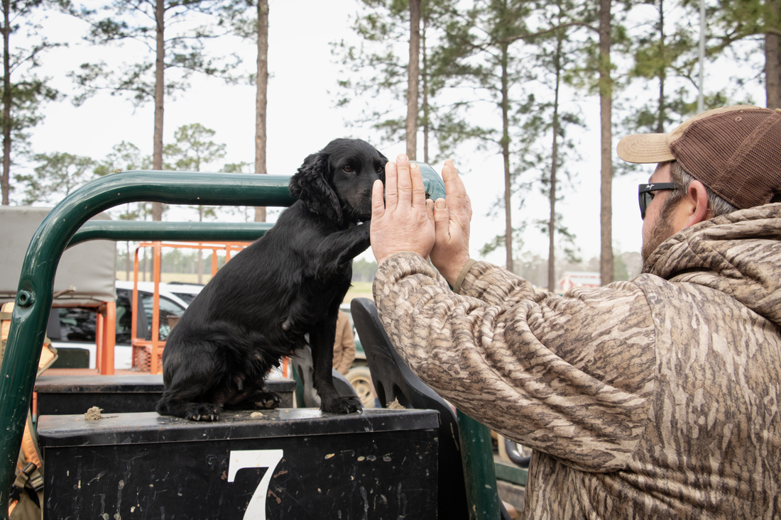 2024 John Gill Quail Hunt (7796) 