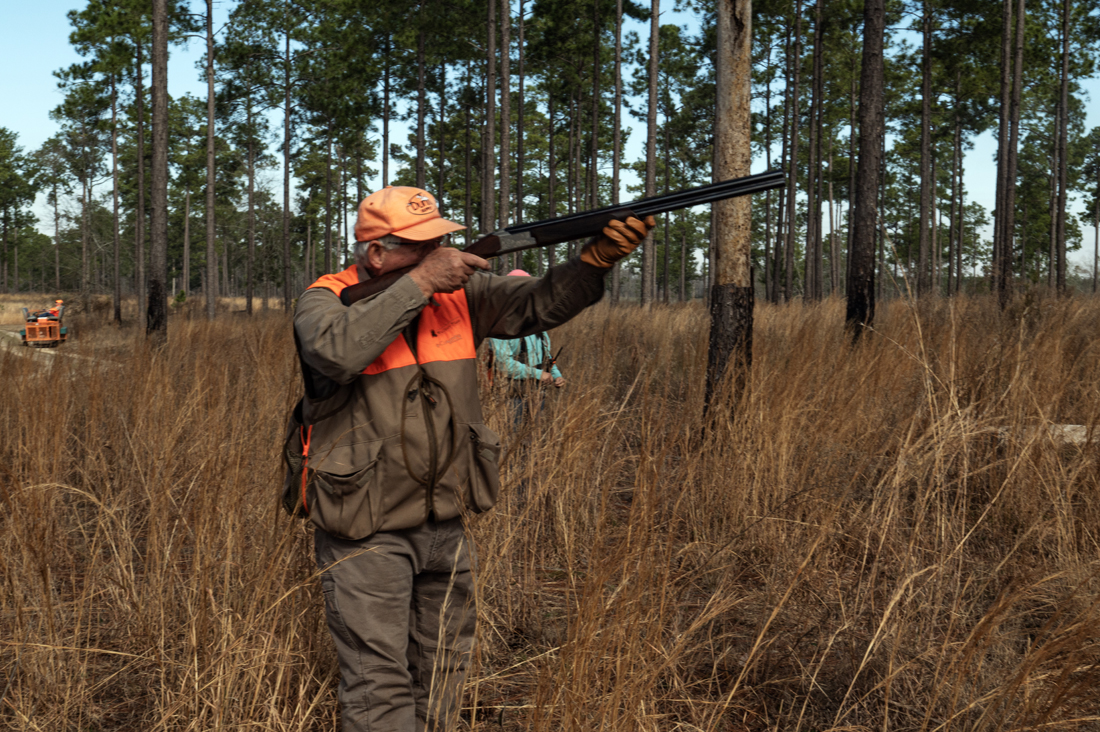 2024 John Gill Quail Hunt_8297