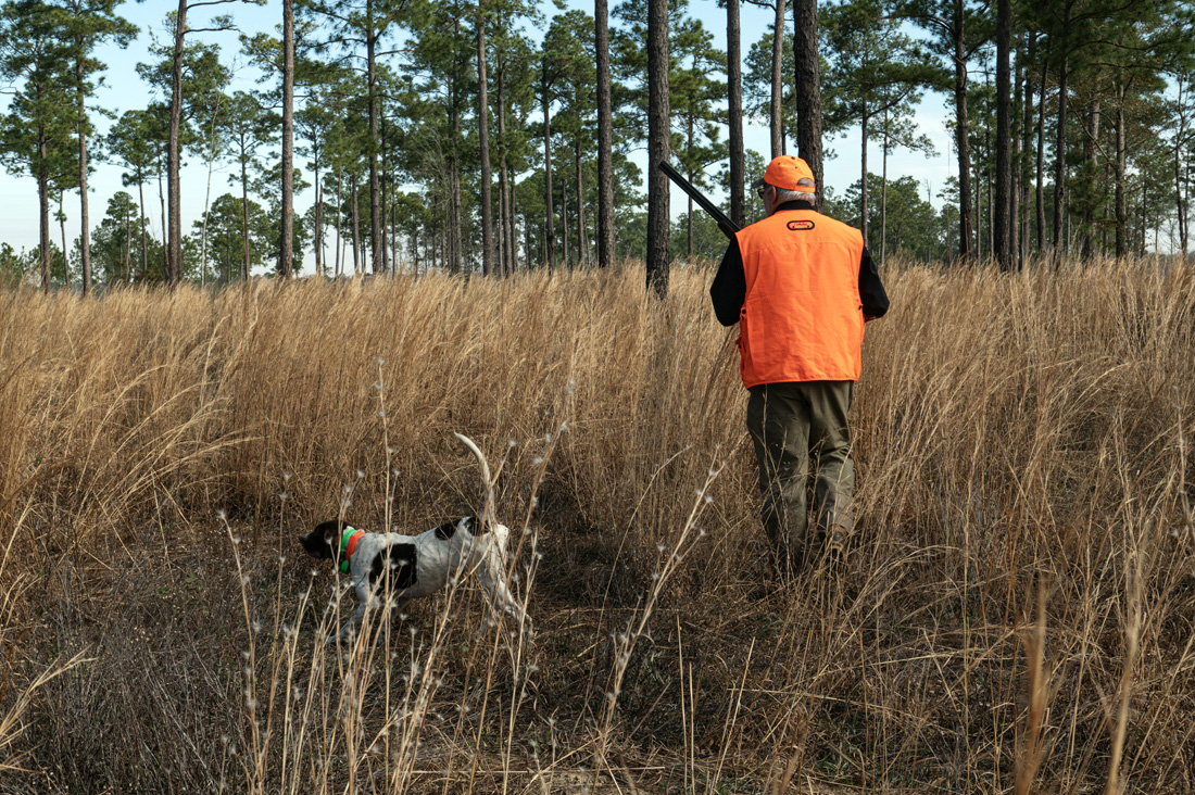 2024 John Gill Quail Hunt_8301