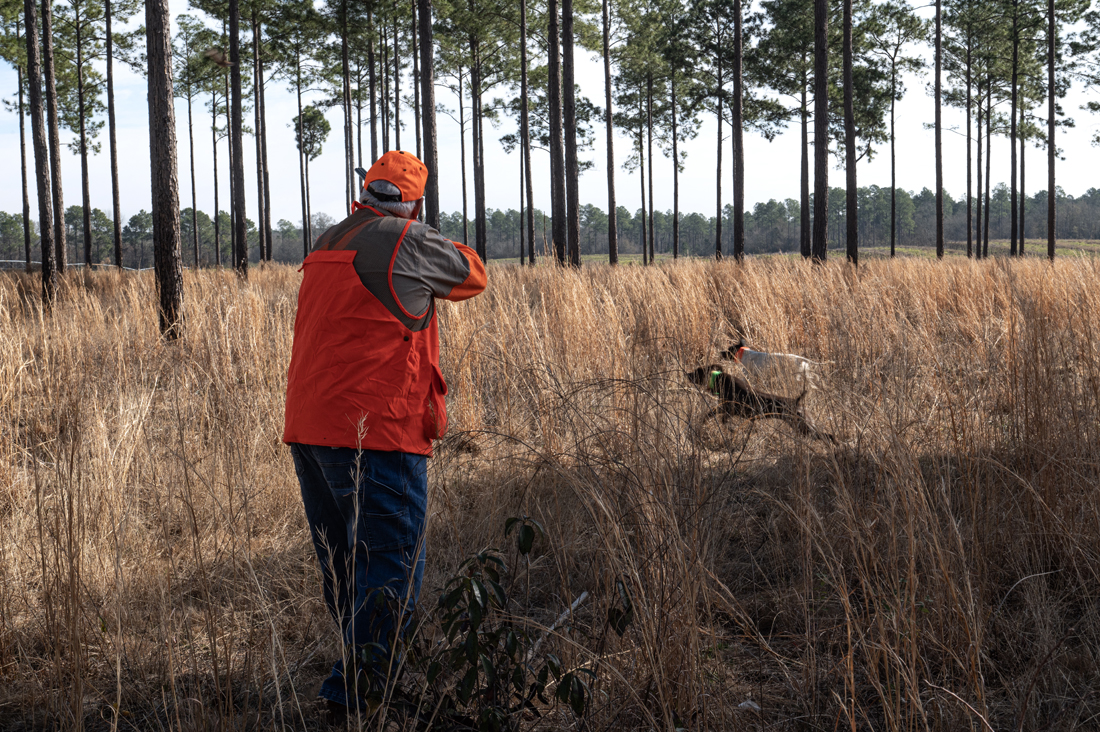 2024 John Gill Quail Hunt_8309