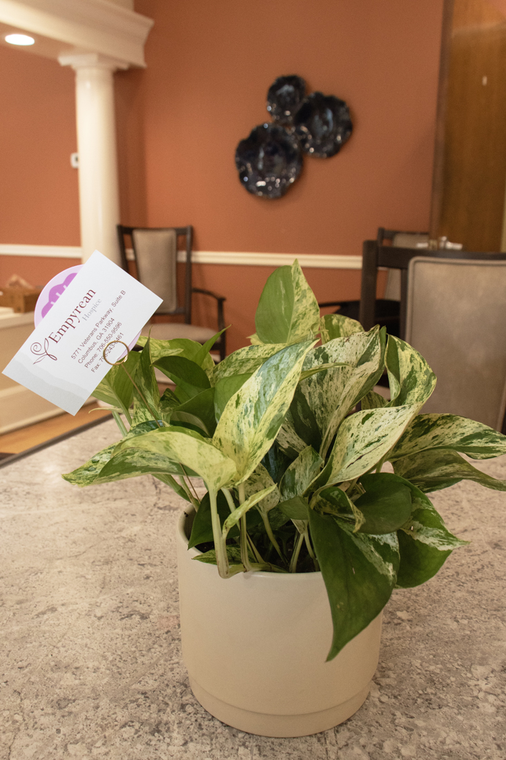 Columbus AL - 2025 Mothers Day Tea (5341)