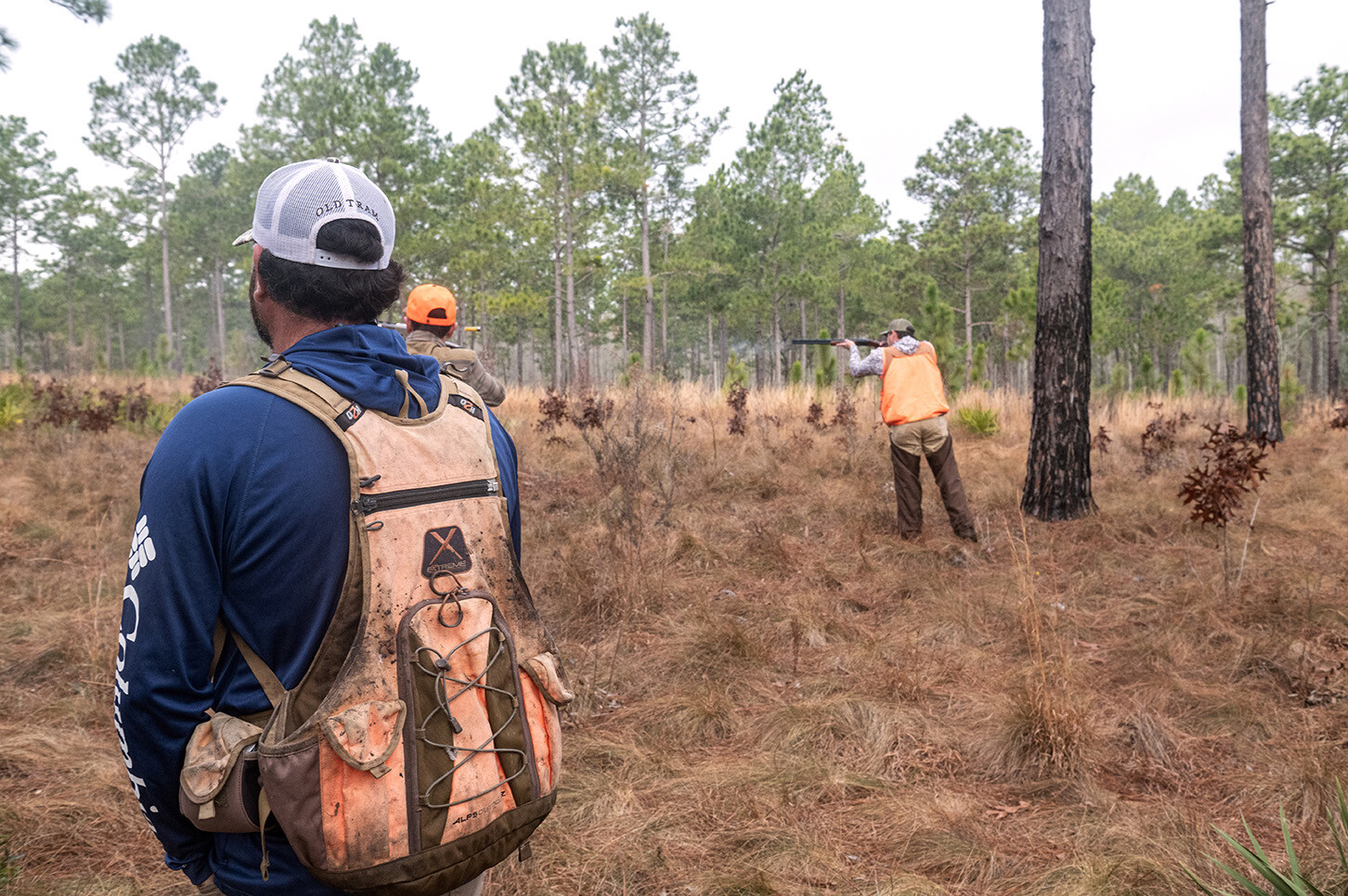 John Gill Quail Hunt_Hunt_6206