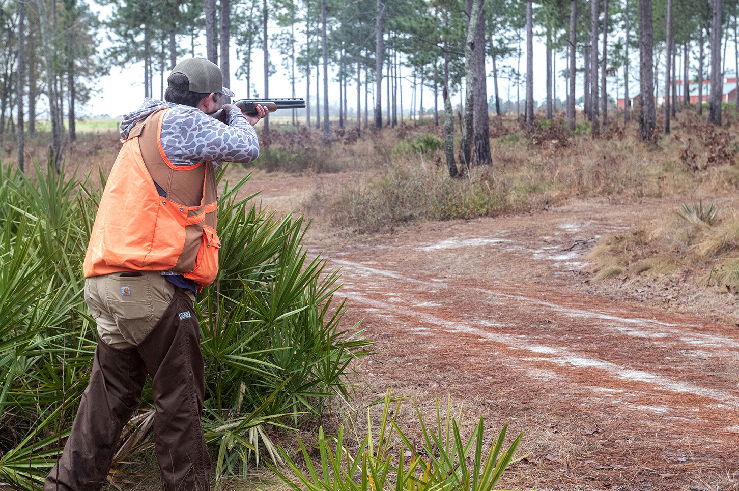 John Gill Quail Hunt_Hunt_6217