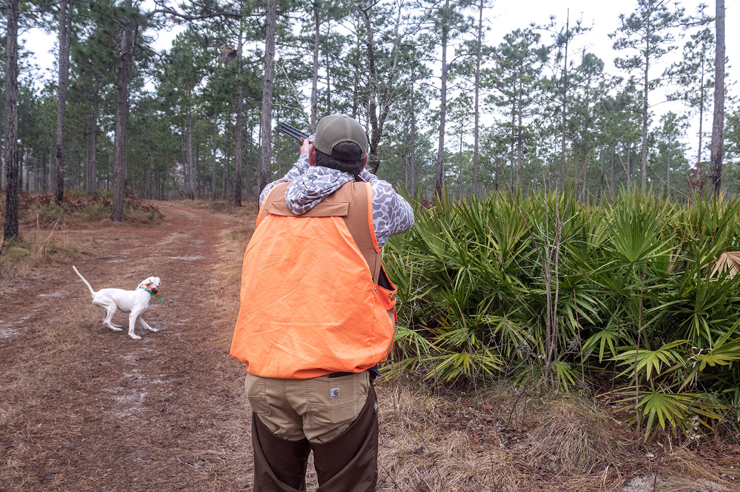 John Gill Quail Hunt_Hunt_6233