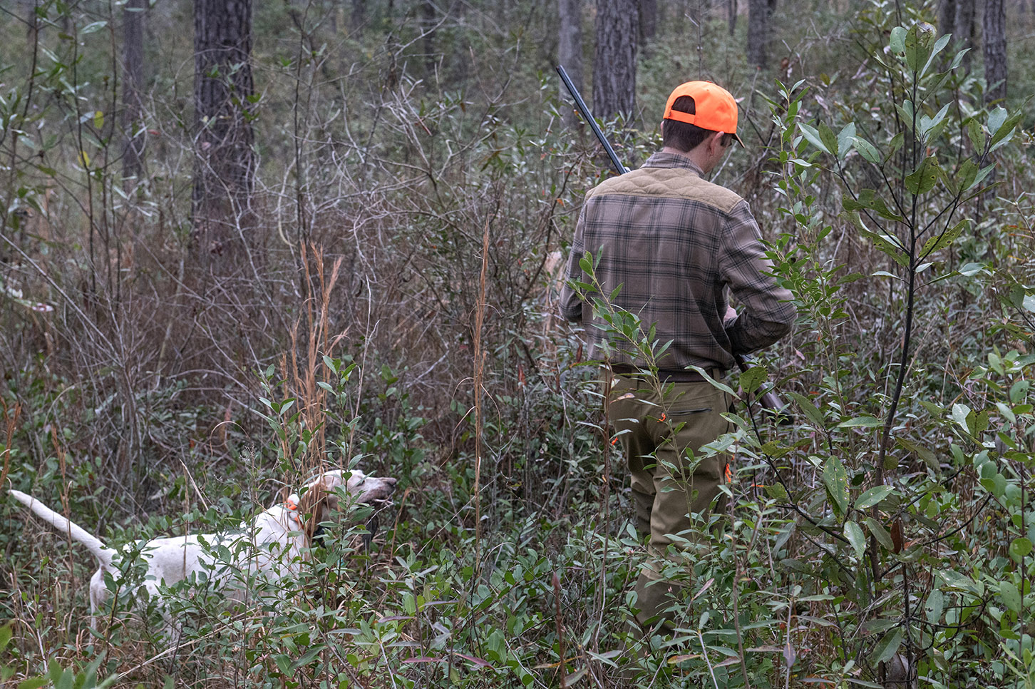 John Gill Quail Hunt_Hunt_6283