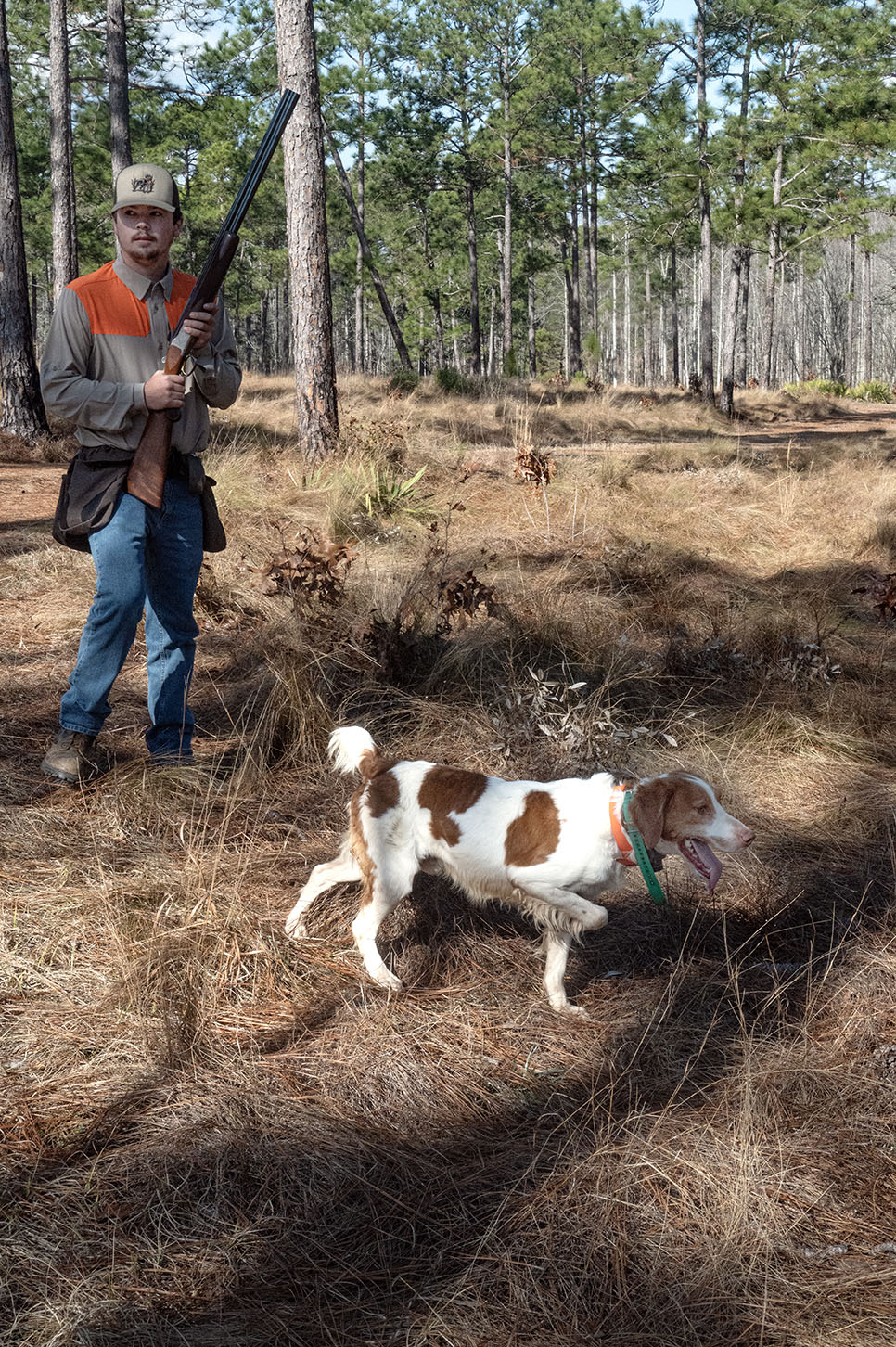 John Gill Quail Hunt_Hunt_6314
