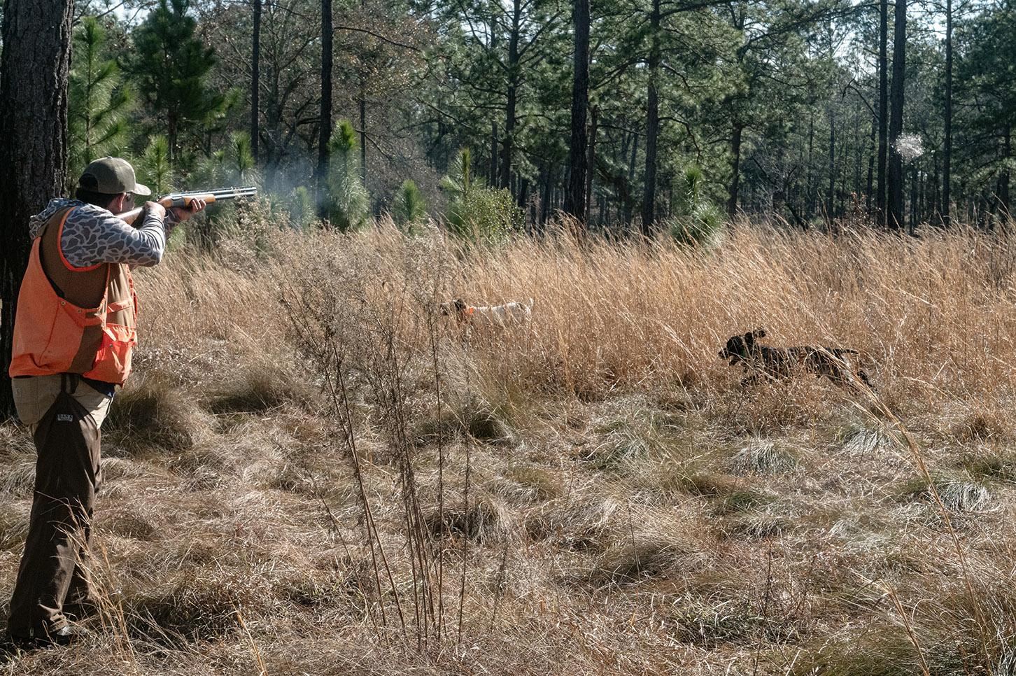 John Gill Quail Hunt_Hunt_6344