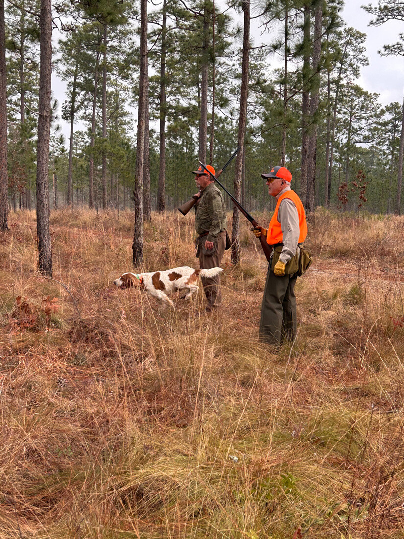 Quail Hunt 2025_0814