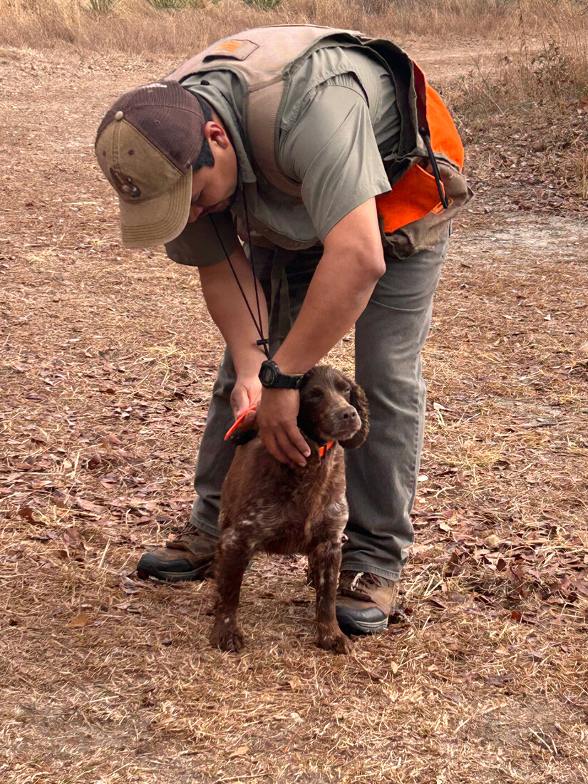 Quail Hunt 2025_0853