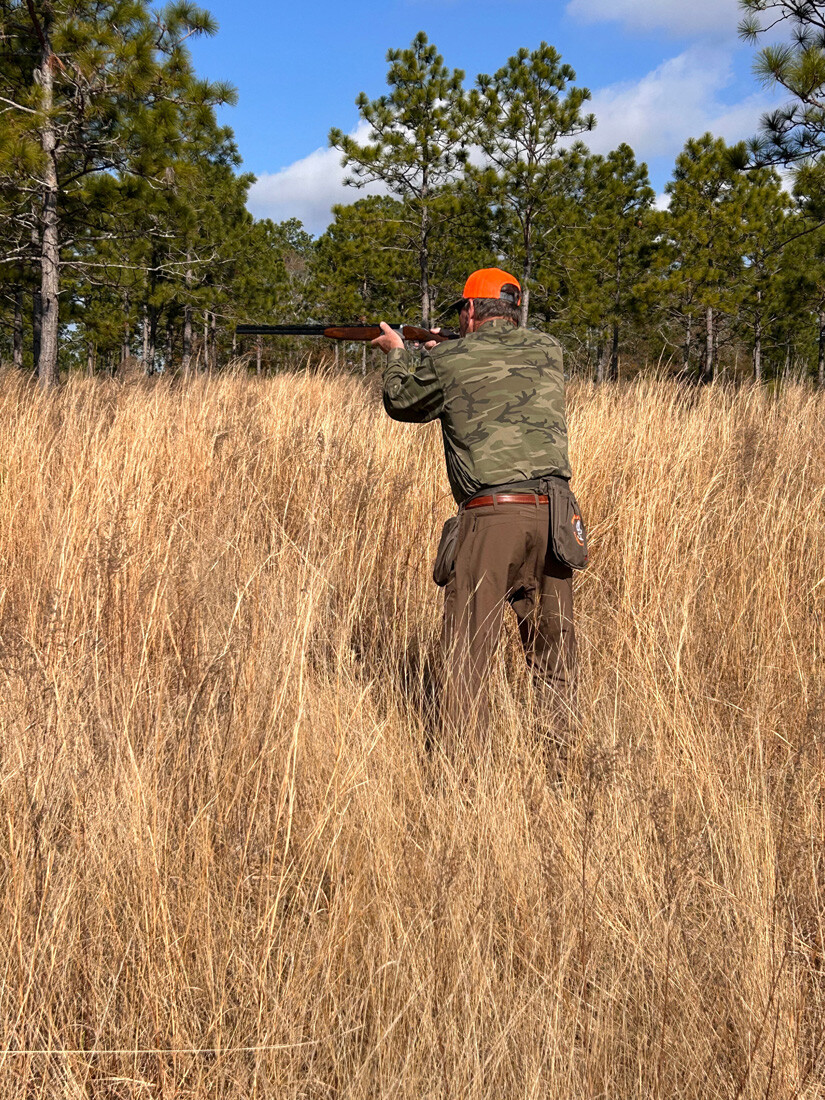 Quail Hunt 2025_0867