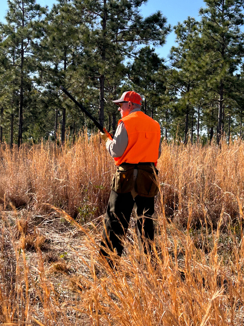 Quail Hunt 2025_0871