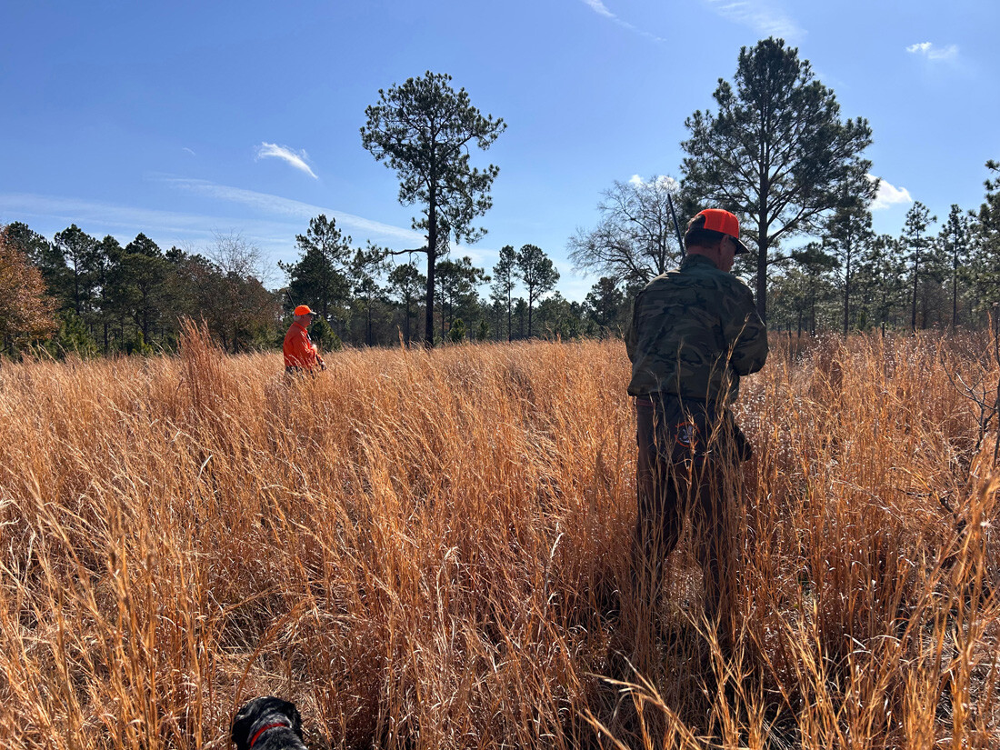 Quail Hunt 2025_0874