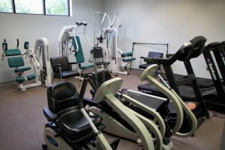 Health & Wellness