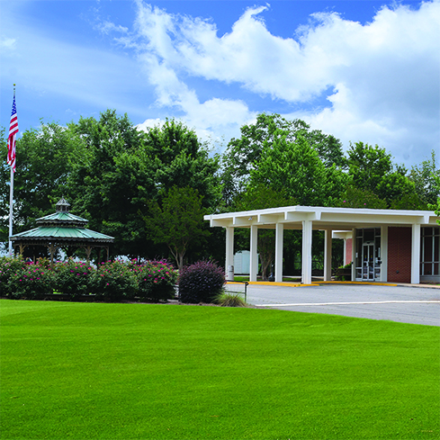 Buena Vista small CAMPUS fNICE