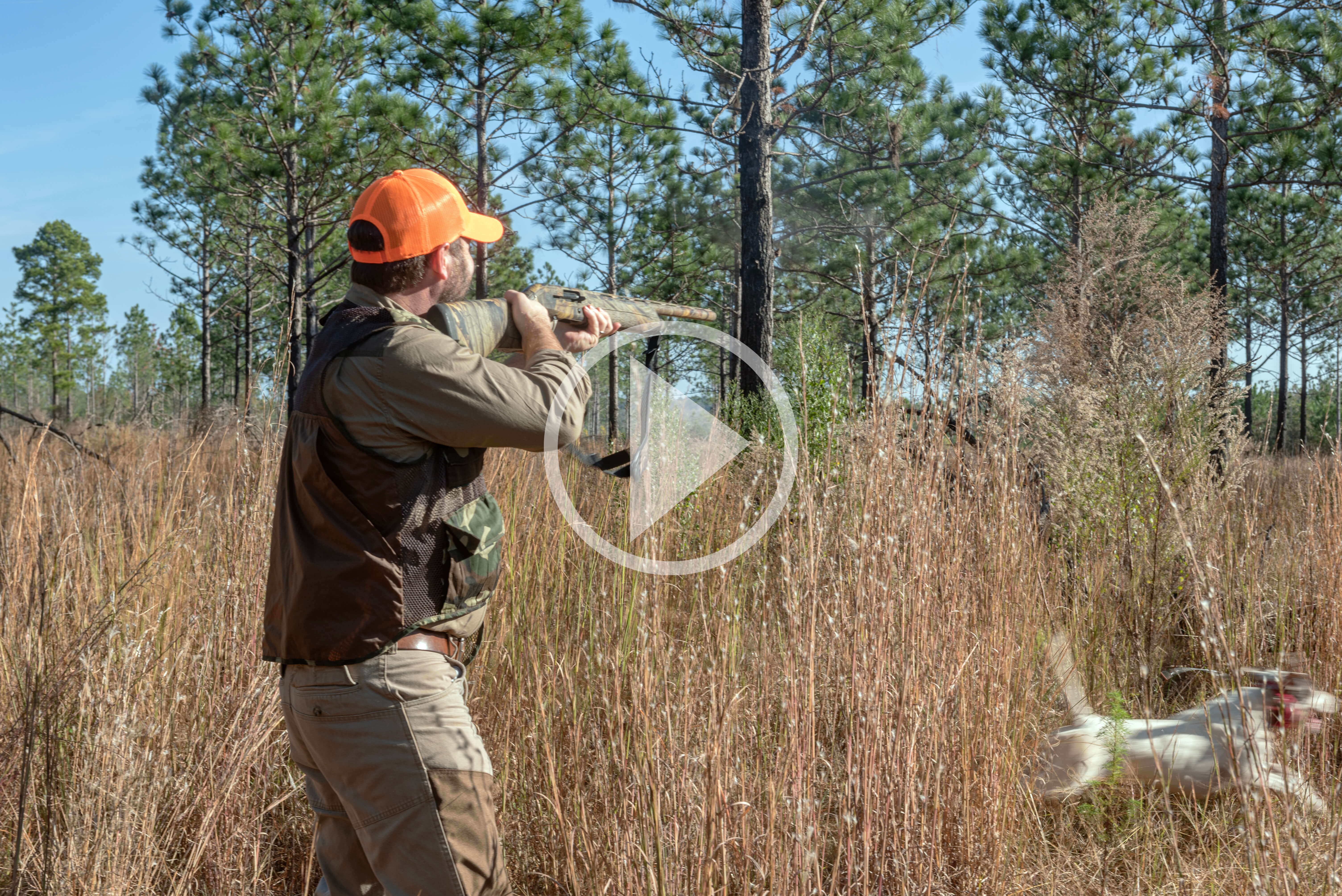 2022 John Gill Memorial Quail Hunt