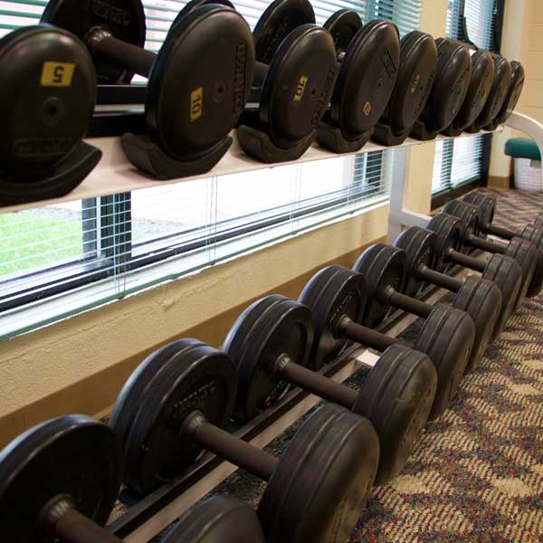 Wellness