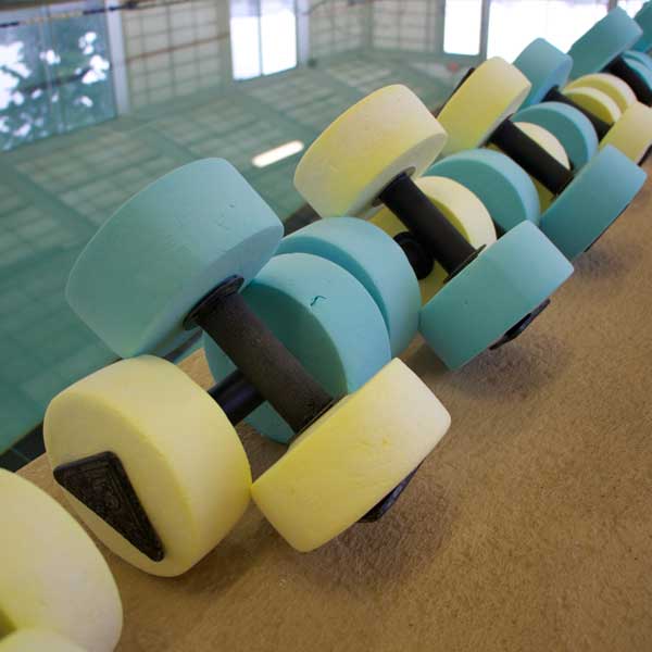 Wellness