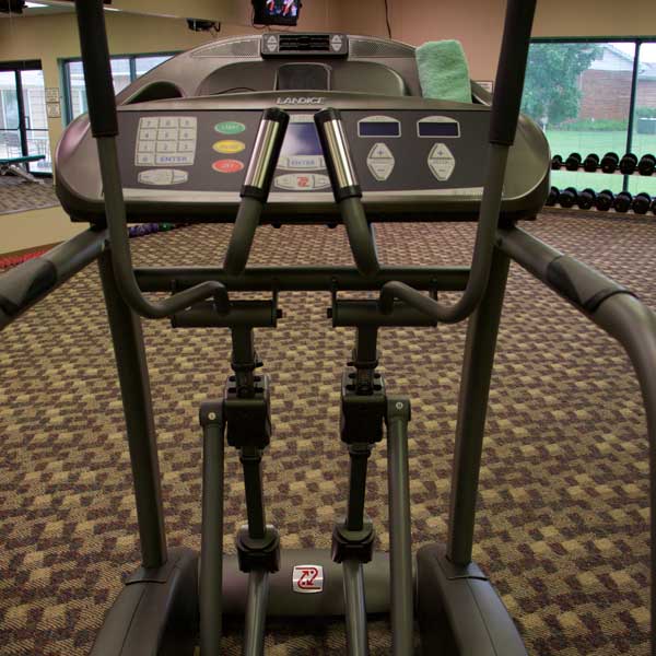 Wellness