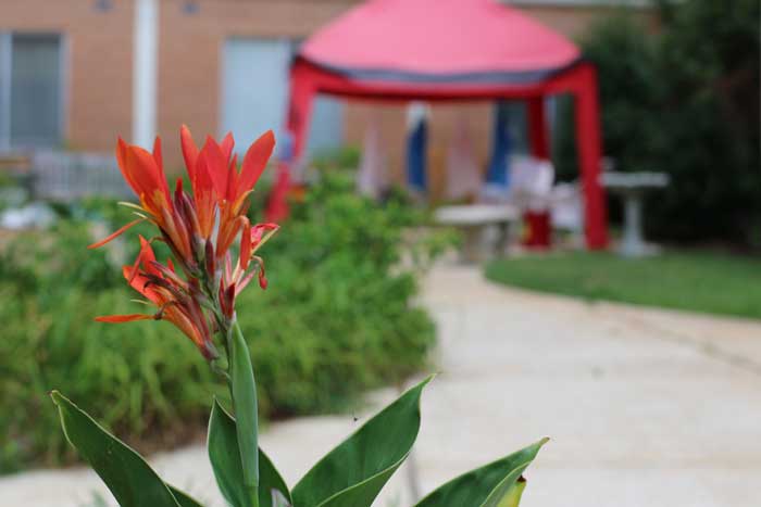 Campus Activities