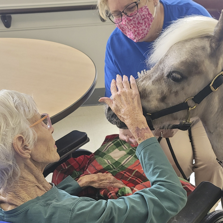 horse and resident